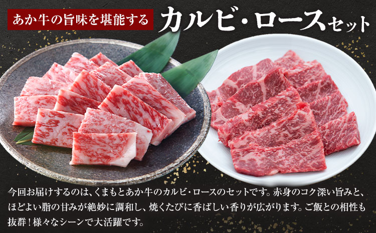 くまもとあか牛 カルビ ロース セット 約500g 有限会社草佳苑《30日以内に出荷予定(土日祝除く)》熊本県 菊池市 肉 牛肉 お肉 和牛 あか牛 焼肉 バーベキュー BBQ 熊本県産 冷凍 送料無料
