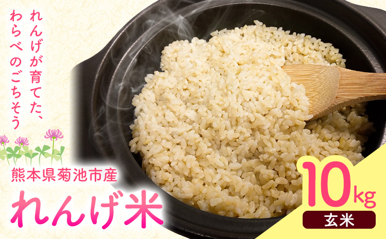 熊本県菊池市産のれんげ米 10kg 《30日以内に出荷予定(土日祝除く)》  精米方法 玄米 お米 レンゲ米 熊本県産 九州産 送料無料