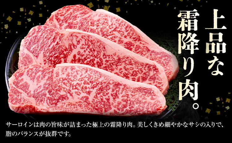 æå¿ç ãµãŒãã€ã³ã¹ããŒãE 160gÃ3æ åèš480g æéäŒç€Ÿæå¿æãµãããã»ã³ã¿ãŒã90æ¥ä»¥å
ã«åºè·äºå®(忥ç¥é€ã)ããè çè ãµãŒãã€ã³ ã¹ããŒã èæ± ãã©ã³ãç å·å éæç¡æ