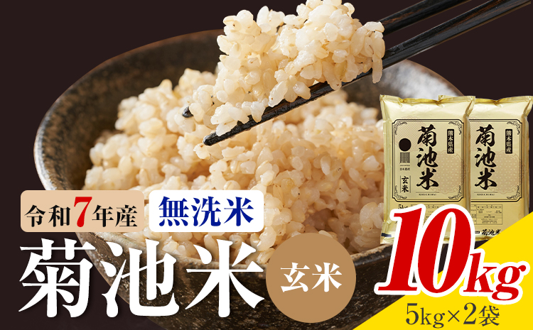 令和7年産 熊本県産 菊池米 無洗米 玄米 10kg 1袋5kg 株式会社くまもとごはん 《30日以内に出荷予定(土日祝除く)》米 お米 令和7年産 九州産 熊本県産  送料無料