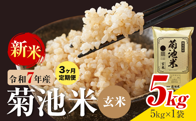 【3ヶ月定期便】熊本県産 菊池米 玄米 5kg 1袋5kg 米 お米 令和7年産 九州産 熊本県産 送料無料《お申込み翌月に出荷予定》玄米 米