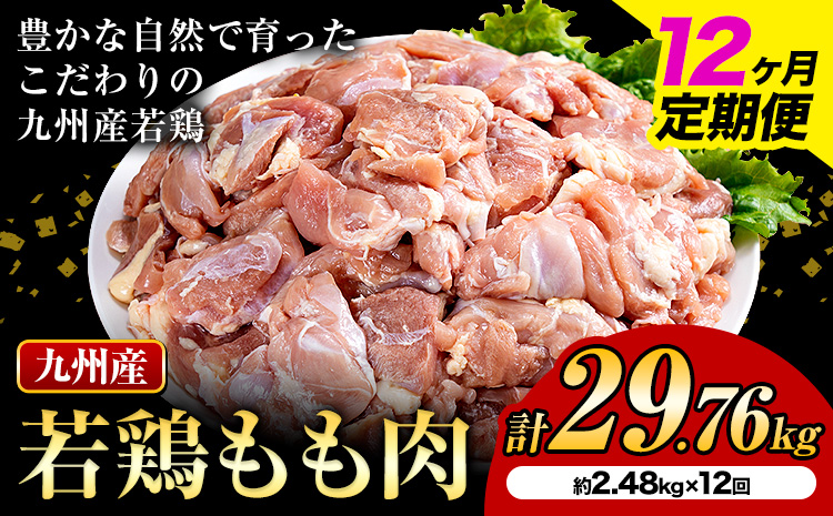 【12ヶ月定期便】 九州産若鶏もも肉 計29.76kg 310g×8袋 肉 お肉 鶏肉 若鶏 もも肉 唐揚げ てりやき チキンカレー 棒々鶏 煮物 国産 九州 熊本県 菊池市 送料無料《お申込み翌月から出荷》