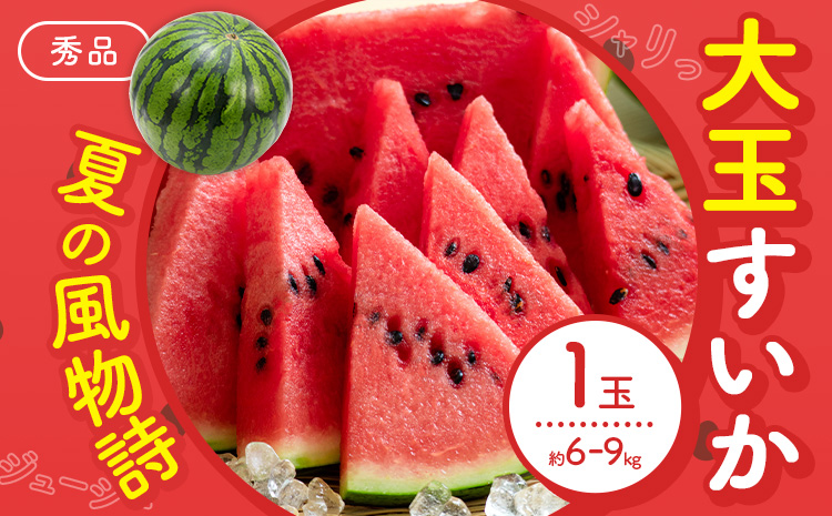 【先行予約】スイカ 大玉すいか 秀品 1玉 約 6kg ～ 9kg 株式会社Foody’s 食彩たかみ 《2026年5月下旬-7月下旬頃出荷》 熊本県 菊池市 フルーツ 果物 スイカ すいか 大玉 九州産 冷蔵 送料無料