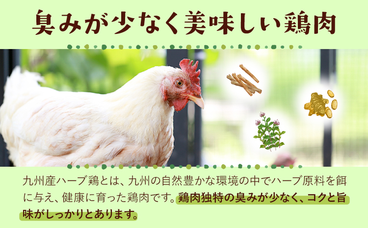ã12ã¶æå®æäŸ¿ãä¹å·ç£ ããŒãé¶ ã ãè èš54kg 4.5kgÃ12å æ€ç°åäºæéäŒç€Ÿ ããç³ãèŸŒã¿æã®ç¿æããåºè·éå§ã çæ¬ç èæ± åž é¶è ããè ãè ãããã 芪å䞌 ããã³ã«ã¬ãŒ ç
®ç© ãµã©ãããã³ å·å åœç£ éæç¡æ