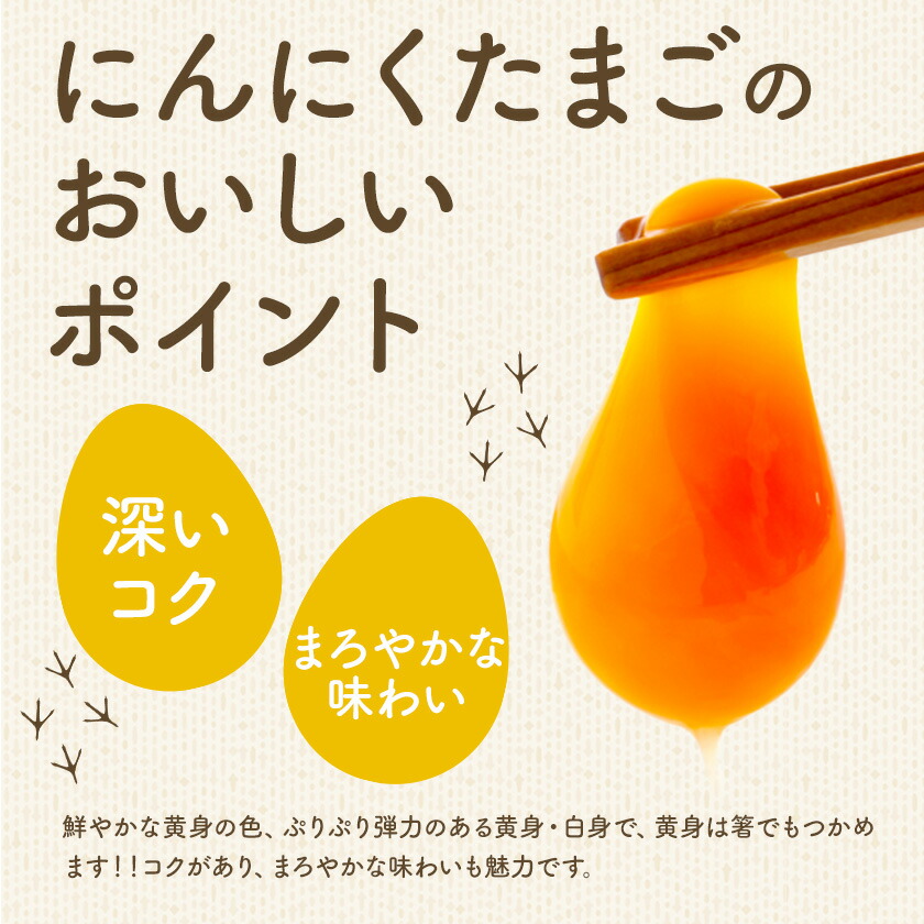 卵 にんにくたまご 内容量 30個 株式会社つづき《90日以内に出荷予定(土日祝除く)》熊本県 菊池市 卵 たまご にんにく卵 鶏卵 熊本県産 九州産 冷蔵 送料無料