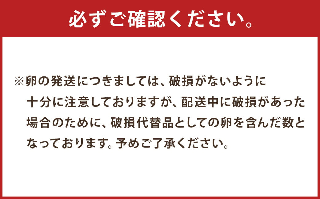 にんにくたまご 30個 1ケース 卵 たまご タマゴ 鶏卵 熊本県産 国産