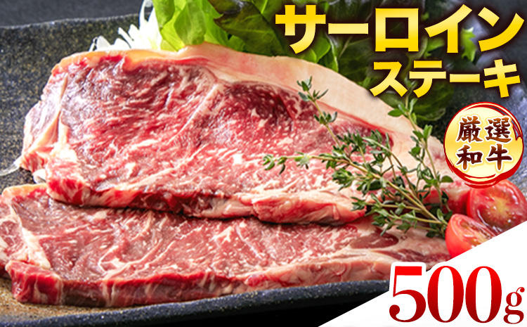 ステーキ 赤身 牛肉 サーロインステーキ 送料無料 あか牛 小分け 熊本県産 500g ( 250g x 2枚 ) [30日以内に出荷予定(土日祝除く)]