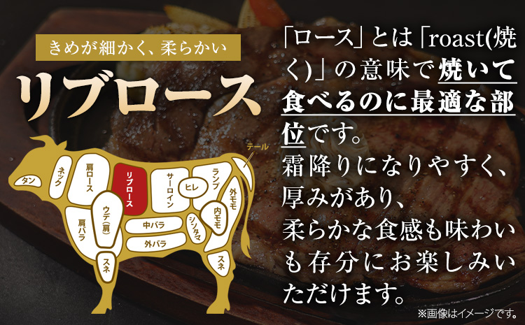 くまもと黒毛和牛 リブロースステーキ 1000g (250g×4枚) 牛肉 冷凍 《30日以内に出荷予定(土日祝除く)》 くまもと黒毛和牛 黒毛和牛 冷凍庫 個別 取分け 小分け 個包装 ステーキ肉 にも リブロースステーキ