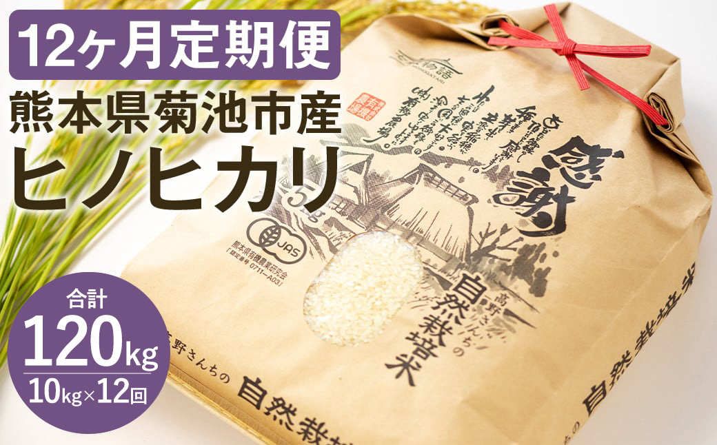 【12ヶ月定期便】熊本県 菊池産 ヒノヒカリ 白米 10kg 通常パッケージ 令和7年産《お申込みの翌月から発送予定》七城物語 高野さんちの自然栽培米 精米 米 お米 自然栽培米 特A 国産 九州産 熊本県産 送料無料