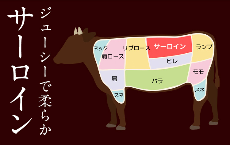 ステーキ 赤身 牛肉 サーロインステーキ 送料無料 あか牛 小分け 熊本県産 500g ( 250g x 2枚 ) 《30日以内に出荷予定(土日祝除く)》