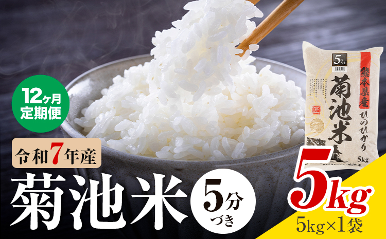 【12ヶ月定期便】令和7年産 熊本県産 菊池米 5分づき 5kg 1袋5kg 株式会社くまもとごはん 《お申込み翌月に出荷予定》米 お米 令和7年産 九州産 熊本県産  送料無料