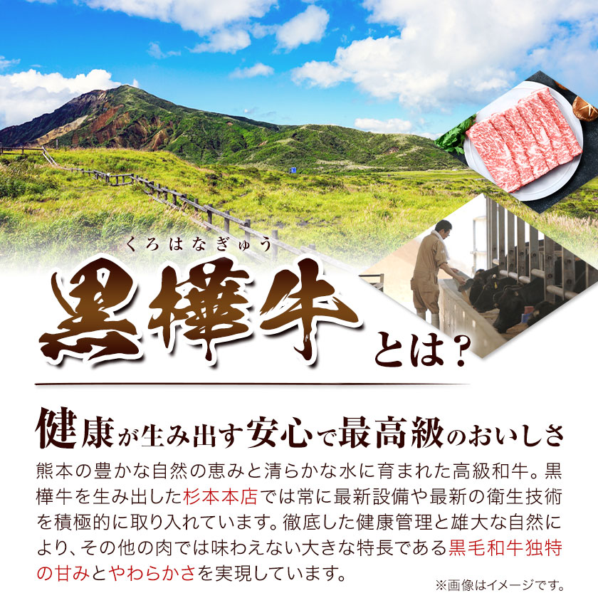 【3ヶ月定期便】くまもと黒毛和牛 黒樺牛 A4-A5等級サーロインステーキ定期便 400g×3回 合計1.2kg 《お申し込み月の翌月から出荷開始》熊本県 菊池市 和牛 お肉 牛肉 黒毛和牛 霜降り ステーキ 定期便 国産 九州産 熊本県産 冷凍 送料無料