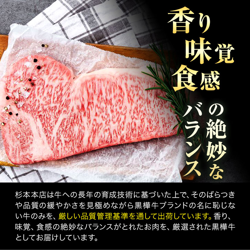 【3ヶ月定期便】くまもと黒毛和牛 黒樺牛 A4-A5等級サーロインステーキ定期便 400g×3回 合計1.2kg 《お申し込み月の翌月から出荷開始》熊本県 菊池市 和牛 お肉 牛肉 黒毛和牛 霜降り ステーキ 定期便 国産 九州産 熊本県産 冷凍 送料無料