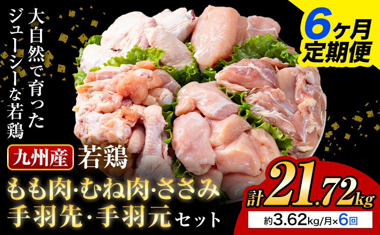 【6ヶ月定期便】 九州産若鶏もも肉 むね肉 ささみ 手羽先 手羽元 セット 計3.62kg 鶏肉 お肉 モモ肉 ムネ肉 5種類 詰め合わせ 小分け 冷凍 九州産 国産 熊本県 菊池市 送料無料《お申込み翌月から出荷》