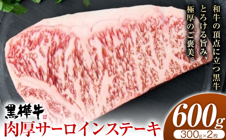くまもと黒毛和牛 黒樺牛 A4〜A5等級 肉厚サーロインステーキ 600g 株式会社杉本本店 《90日以内に出荷(土日祝除く)》熊本県 菊池市 特大 牛肉 牛 肉厚 お肉 ステーキ 黒毛和牛 国産 九州産 熊本県産 冷凍 送料無料