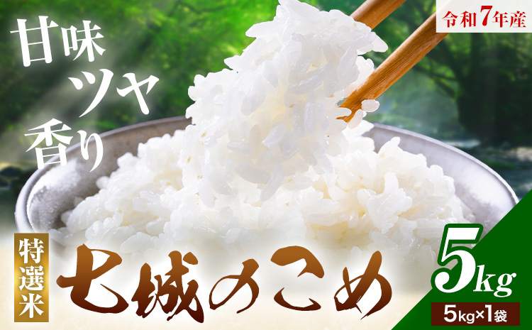 令和7年産 七城のこめ 特選米 七つ星 精米 ヒノヒカリ ひのひかり 5kg 有限会社七城町特産品センター《30日以内に出荷予定(土日祝を除く)》 熊本県 菊池市 お米 米 白米 九州産 熊本県産