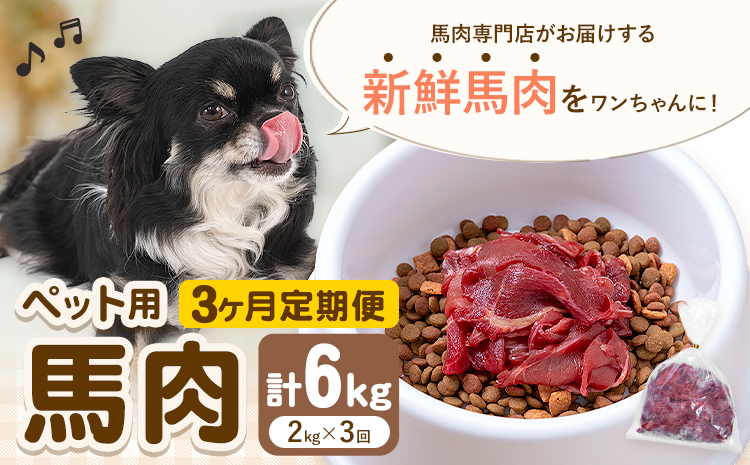 【3ヶ月定期便】ペット用馬肉 2kg × 3回 計6kg 五右衛門フーズ《申込月の翌月から出荷開始》 ペット用 犬用 肉 馬肉 熊本県 菊池市