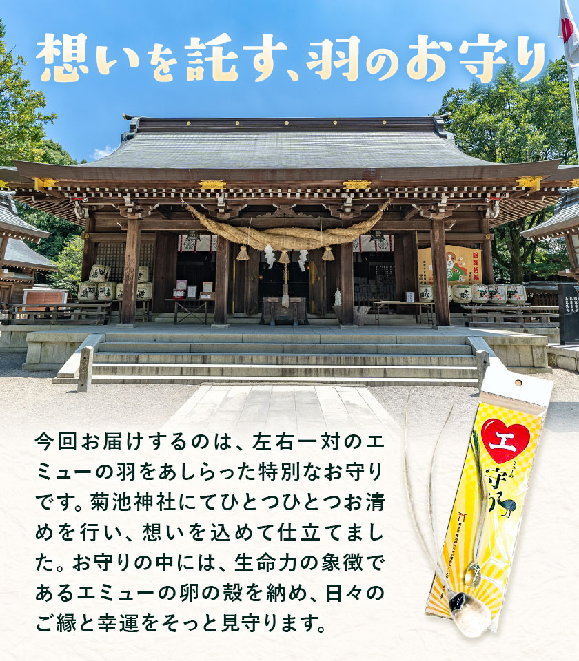 エミューの羽 お守り 全長約18cmエミューの卵の殻入り 熊本県菊池エミュー観光牧場株式会社 《30日以内に出荷予定(土日祝除く)》 熊本県 菊池市 エミュー 縁結び 幸運の羽 羽根 御守り 羽