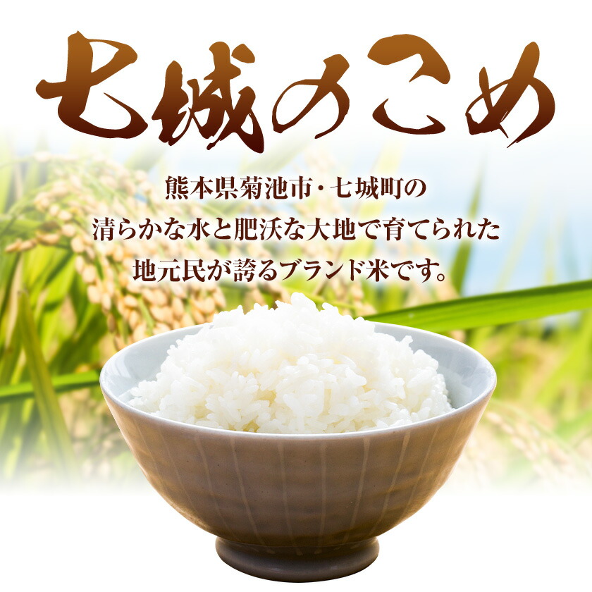 令和7年産 七城のこめ 精米 10kg(5kg×2袋) ヒノヒカリ ひのひかり 有限会社七城町特産品センター《30日以内に出荷予定(土日祝除く)》 熊本県 菊池市 定期便 お米 米 白米 九州産 熊本県産