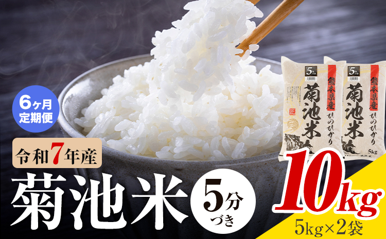 【6ヶ月定期便】令和7年産 熊本県産 菊池米 5分づき 10kg 1袋5kg 株式会社くまもとごはん 《お申込み翌月に出荷予定》米 お米 令和7年産 九州産 熊本県産  送料無料