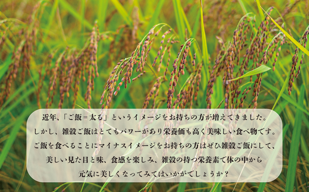 七城物語 有機赤米  玄米 合計900g(180g×5パック) 赤米 お米 米 こめ ごはん ご飯