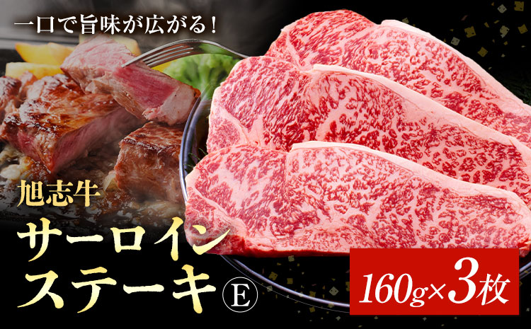 旭志牛 サーロインステーキE 160g×3枚 合計480g 有限会社旭志村ふれあいセンター《90日以内に出荷予定(土日祝除く)》お肉 牛肉 サーロイン ステーキ 菊池ブランド牛 冷凍 送料無料