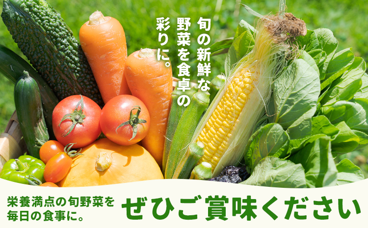 野菜セット 8品 養生市場 詰め合わせ セット 品種おまかせ 有限会社七城町特産品センター《90日以内に出荷予定(土日祝除く)》熊本県 菊池市 ランダム 野菜 旬の野菜 九州産 熊本県産