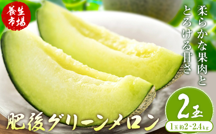 肥後グリーンメロン 約2-2.4kg×2玉【養生市場】 有限会社七城町特産品センター《5月中旬-6月中旬頃出荷》熊本県 菊池市 メロン グリーンメロン 果物 フルーツ 熊本県産 送料無料