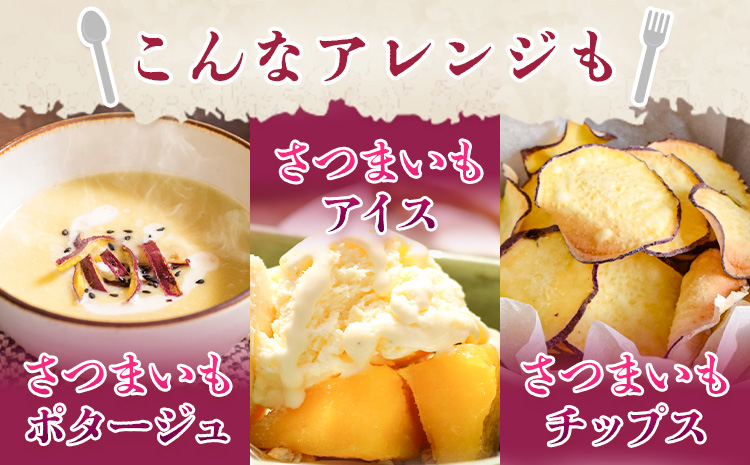 ãã€ãŸãã çæ¬çç£ çŽ
ã¯ãã 3.5kg æ¥æ¬ãã«ãŒãæ ªåŒäŒç€Ÿã11æäžæ¬-6æäžæ¬é åºè·ãçæ¬ç èæ± åž ãã€ãŸãã è©æ©è ãããã çŽ
ã¯ãã ãã¶ãŒã æç ãã〠èè éè è ãã