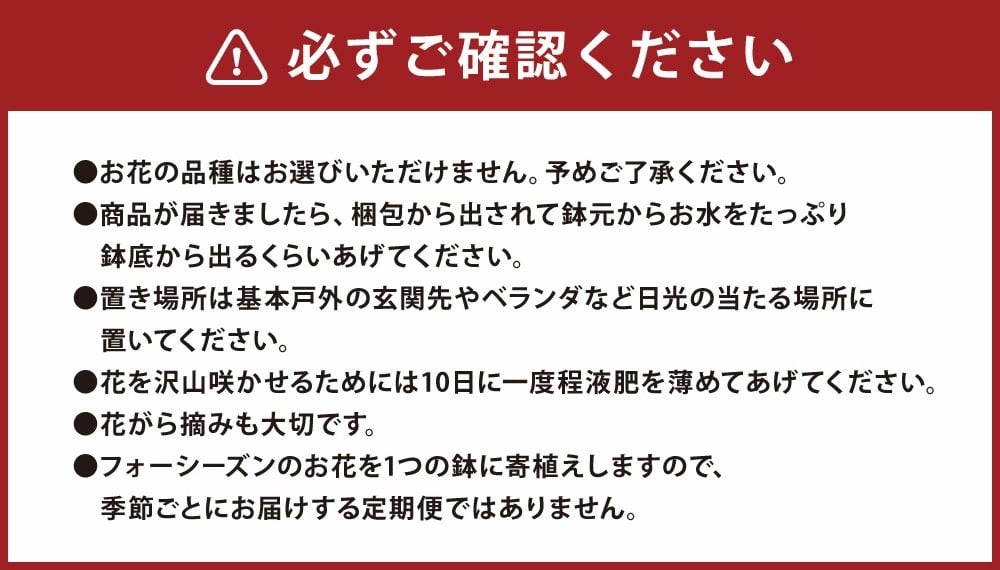 フォーシーズン お花の寄せ植え 4～5種 花 フラワー 観葉植物 植物 インテリア