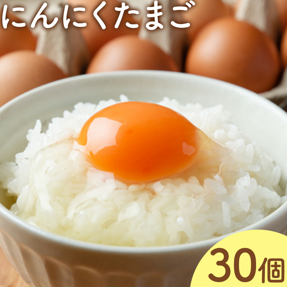 卵 にんにくたまご 内容量 30個 株式会社つづき《90日以内に出荷予定(土日祝除く)》熊本県 菊池市 卵 たまご にんにく卵 鶏卵 熊本県産 九州産 冷蔵 送料無料