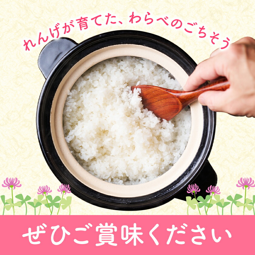 çæ¬çèæ± åžç£ã®ãããç±³ 5kg ã30æ¥ä»¥å
ã«åºè·äºå®(忥ç¥é€ã)ã ç²Ÿç±³æ¹æ³ 粟米 ãç±³ çœç±³ ã¬ã³ã²ç±³ çæ¬çç£ ä¹å·ç£ éæç¡æ