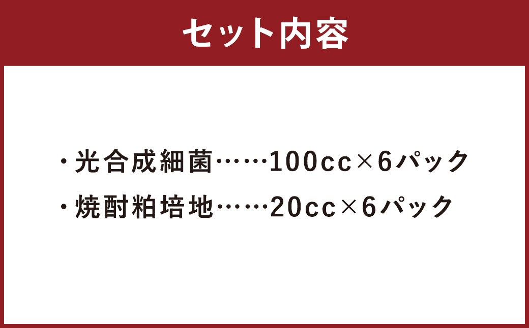 光合成細菌 ( 2L培養キット × 6セット )