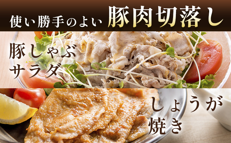肥後あそび豚切落し 4kg 株式会社さつま屋産業 ぶた ブタ 豚肉 肉 ブランド豚 切り落とし 国産 九州産 熊本県産 菊池市産 冷凍 送料無料《90日以内に出荷予定(土日祝除く)》