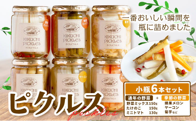 ピクルス 小瓶 6本セット 【メロンドーム】  ピクルス 野菜 酢漬け 漬物 おつまみ 旬の野菜 《30日以内に出荷予定(土日祝除く)》