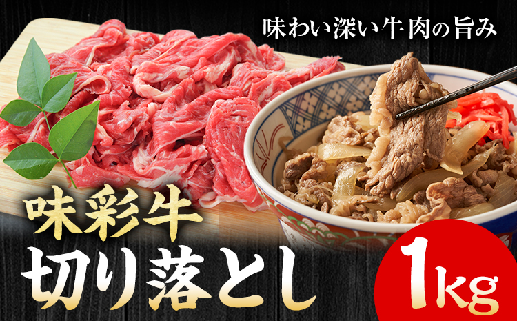 味彩牛 切り落とし 1kg（500g×2パック） のぐち産業株式会社《90日以内に出荷予定(土日祝除く)》熊本県 菊池市 牛肉 スライス お肉 精肉 熊本県産 九州産 国産 冷凍 送料無料