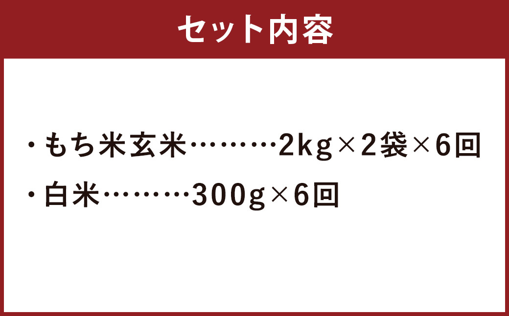 【定期便6ヵ月】 熊本県 菊池産 もち米 玄米 2kg×2袋 白米 300g 計25.8kg ヒヨクモチ