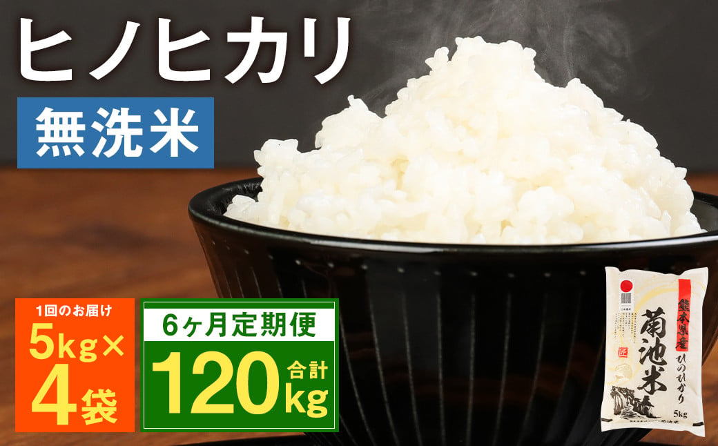 【定期便6ヶ月】熊本県菊池産 ヒノヒカリ 無洗米 計120kg（5kg×4袋×6回）精米 お米 米 白米