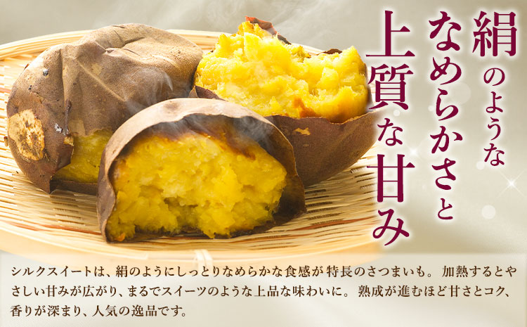 【先行予約】シルクスイート さつまいも 約5kg 日本フルーツ株式会社《2026年11月上旬-12月中旬頃出荷》熊本県 菊池市 さつまいも サツマイモ シルクスイート 熊本県産