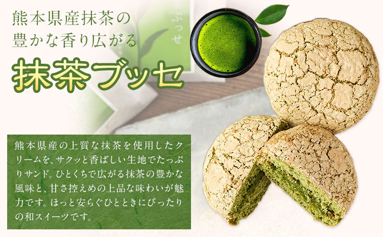 菊池銘菓 ブッセシリーズ 詰め合わせセット 1箱12個入り 3種×各4個 有限会社中原松月堂《30日以内に出荷予定(土日祝除く)》熊本県 菊池市 和菓子 洋菓子 お菓子 焼き菓子 菓子折り 銘菓 抹茶 メロン デコポン ブッセ デザート スイーツ