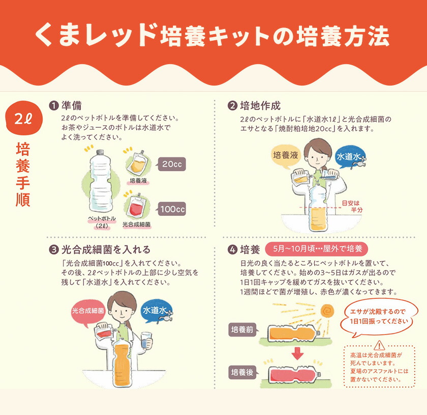 光合成細菌くまレッド 農業用 2L培養キット×6セット 株式会社Ciamo 《90日以内に出荷予定(土日祝除く)》熊本県 菊池市 ガーデニング 農業用 観葉植物 家庭菜園