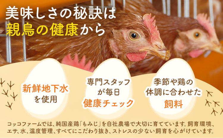 繧ウ繝繧ウ繝輔ぃ繝シ繝縺ョ縺溘∪縺 40蛟 繧ウ繝繧ウ繝輔ぃ繝シ繝縲90譌・莉・蜀縺ォ蜃コ闕キ莠亥ョ(蝨滓律逾晞勁縺)縲狗頑悽逵 闖頑ア蟶 蜊オ 鮓丞嵯 邇牙ュ 縺溘∪縺 螳カ蠎ュ逕ィ 辭頑悽逵檎肇 荵晏キ樒肇 蜀キ阡オ 騾∵侭辟。譁