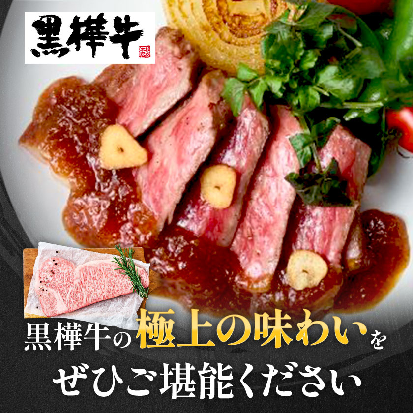 【3ヶ月定期便】くまもと黒毛和牛 黒樺牛 A4-A5等級サーロインステーキ定期便 400g×3回 合計1.2kg 《お申し込み月の翌月から出荷開始》熊本県 菊池市 和牛 お肉 牛肉 黒毛和牛 霜降り ステーキ 定期便 国産 九州産 熊本県産 冷凍 送料無料