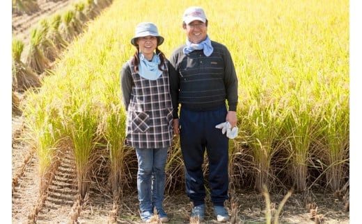 【令和6年産】 七城のお米 ヒノヒカリ 5kg 米 白米 精米 こめ コメ お米 ごはん ご飯 熊本県産