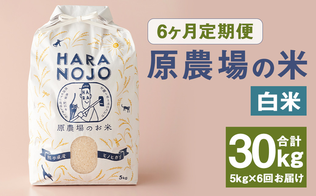 【6ヶ月定期便】原農場の米（白米） 5kg 計30kg お米 米 こめ コメ 白米 ヒノヒカリ ひのひかり ごはん ご飯 熊本県産 国産