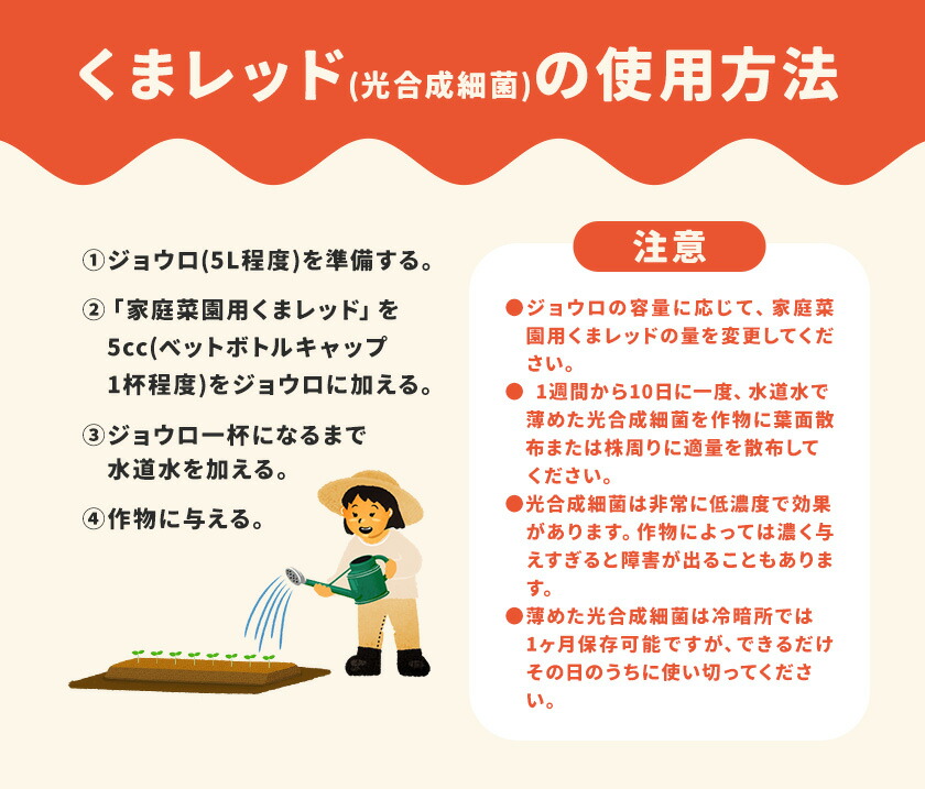 光合成細菌くまレッド 農業用 500cc×3個（培養済み）株式会社Ciamo 《90日以内に出荷予定(土日祝除く)》熊本県 菊池市 ガーデニング 農業用 観葉植物 家庭菜園