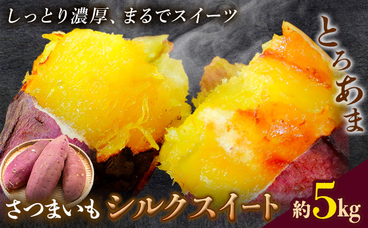 【先行予約】シルクスイート さつまいも 約5kg 日本フルーツ株式会社《2026年11月上旬-12月中旬頃出荷》熊本県 菊池市 さつまいも サツマイモ シルクスイート 熊本県産