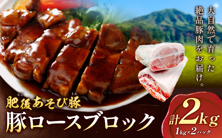 肥後あそび豚 ロースブロック 1kg×2パック 合計 2kg 《30日以内に出荷予定(土日祝除く)》熊本県 菊池市 ぶた ブタ 豚肉 肉 ブランド豚 ロース ブロック 国産 九州産 熊本県産 菊池市産 冷凍 送料無料
