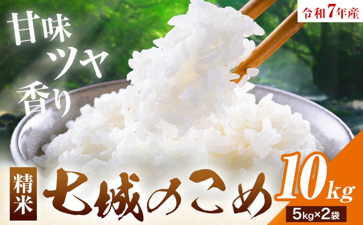 令和7年産 七城のこめ 精米 10kg(5kg×2袋) ヒノヒカリ ひのひかり 有限会社七城町特産品センター《30日以内に出荷予定(土日祝除く)》 熊本県 菊池市 定期便 お米 米 白米 九州産 熊本県産
