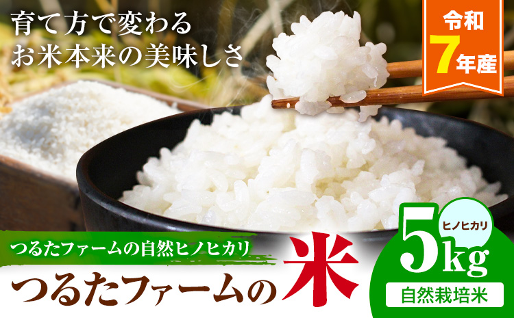 令和7年産 つるたファームの米 自然ヒノヒカリ 自然栽培米 ヒノヒカリ 5kg 株式会社七城の恵み《30日以内に出荷(土日祝除く)》熊本県 菊池市 米 ひのひかり つるたファーム